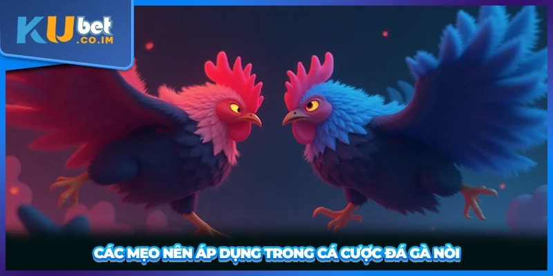 Các mẹo nên áp dụng trong cá cược đá gà nòi