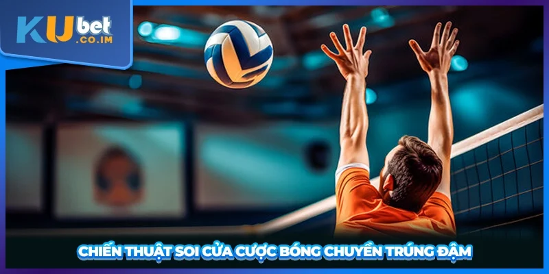Chiến thuật soi cửa cược bóng chuyền trúng đậm