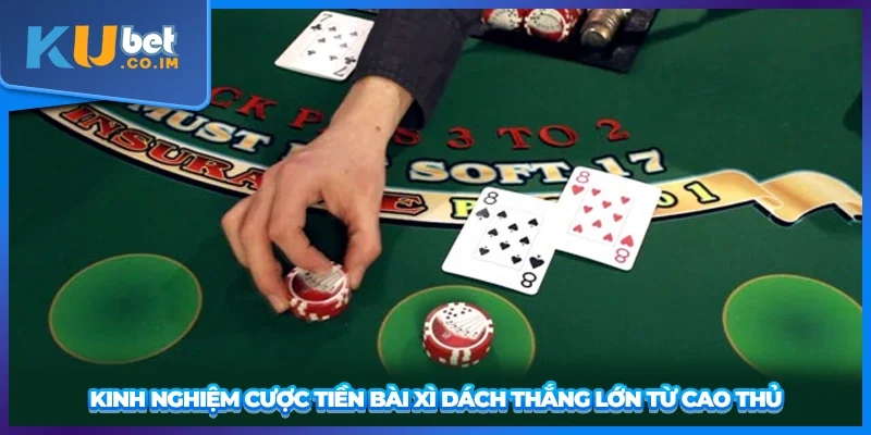 Kinh nghiệm cược tiền bài Xì Dách thắng lớn từ cao thủ