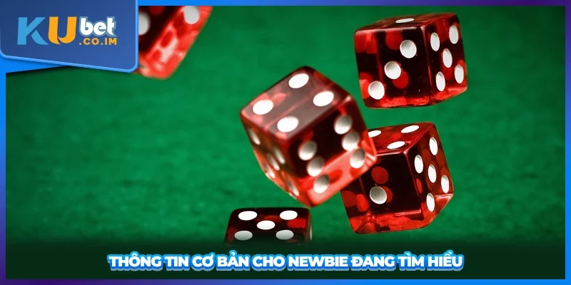 Thông tin cơ bản cho newbie đang tìm hiểu