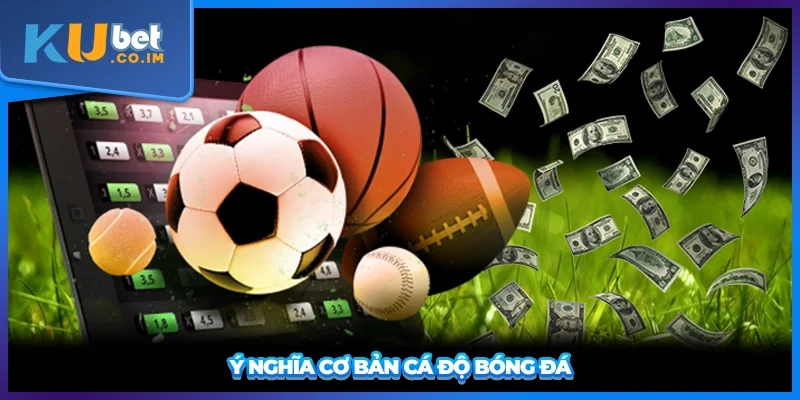 Ý nghĩa cơ bản cá độ bóng đá